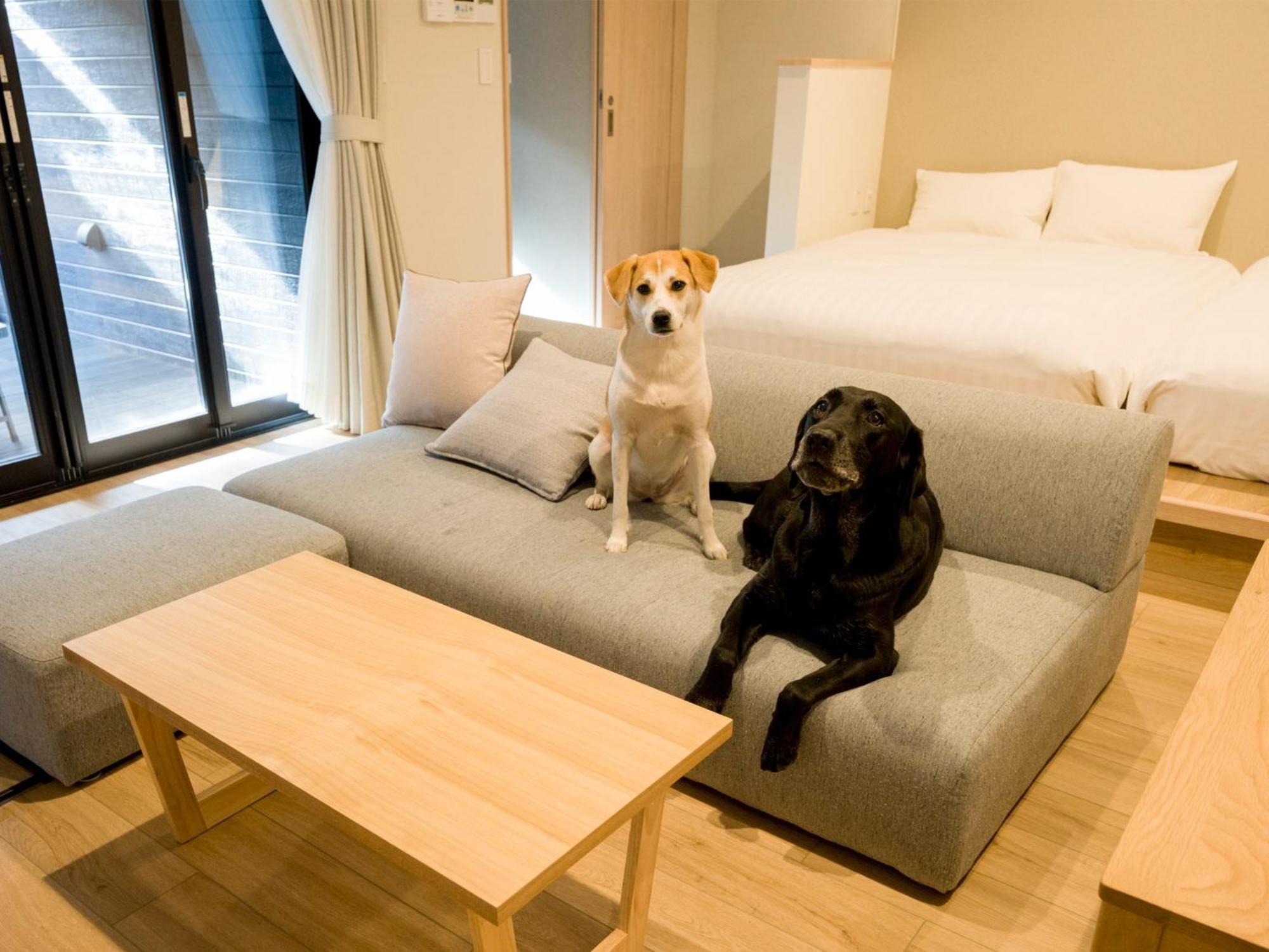 Rakuten Stay Nikko Hoden Capacity Of 4 Persons Exterior photo